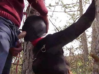 Tied To Tree For Sex - Sucking Cock Porn with LauraOnHeels
